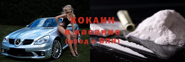 твердый Арсеньев