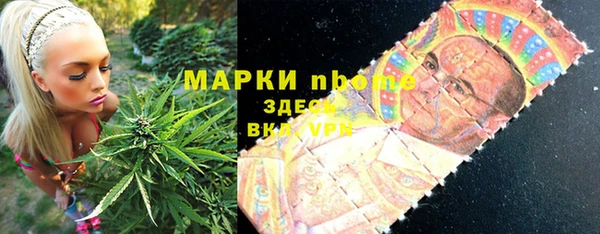 твердый Арсеньев