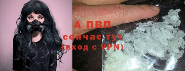 твердый Арсеньев