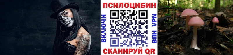 Псилоцибиновые грибы мухоморы  Новая Ладога 