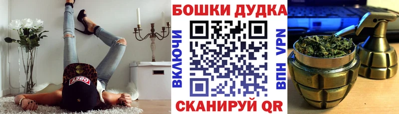 kraken ссылки  наркошоп  Новая Ладога  Конопля семена 